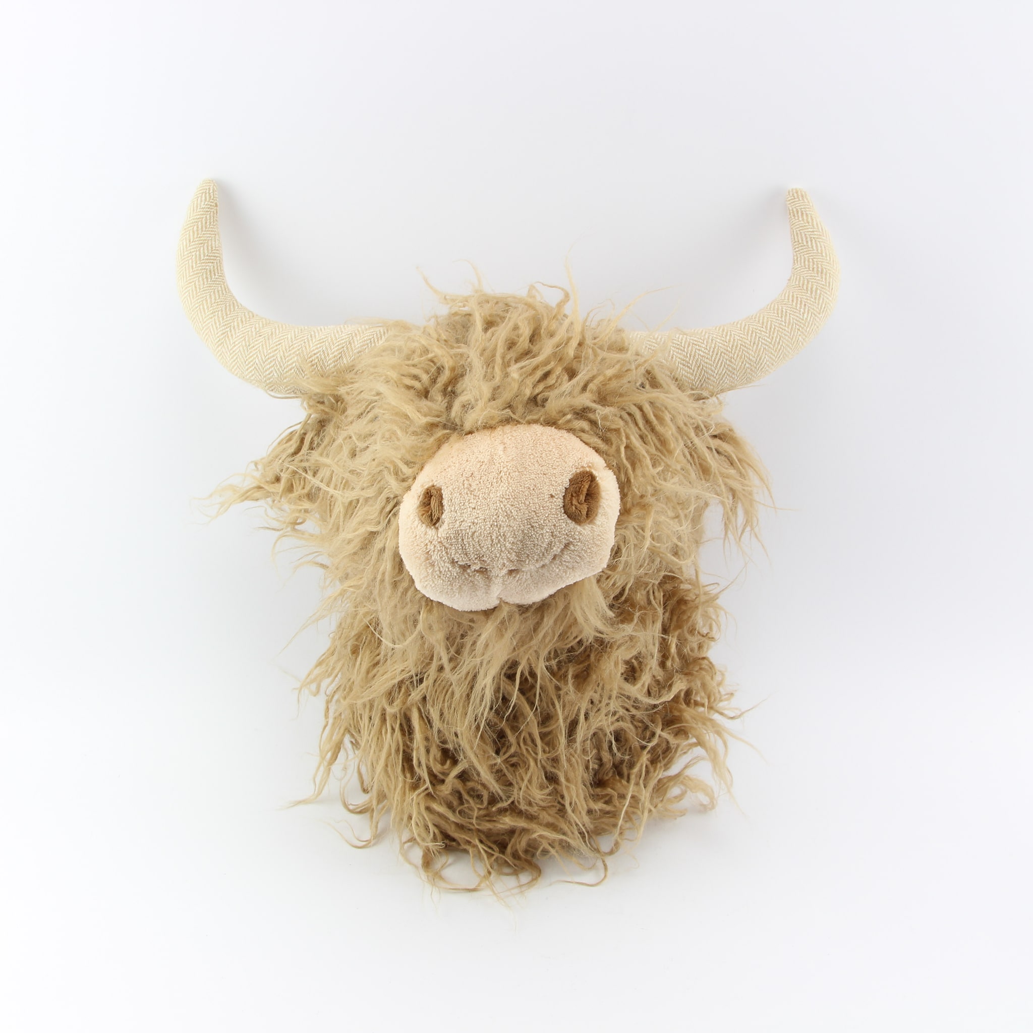 Schotse hooglander - Loeks nice product foto 431 min - 6095